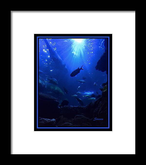 Fish Framed Print featuring the photograph Getting Along by Steven Lebron Langston