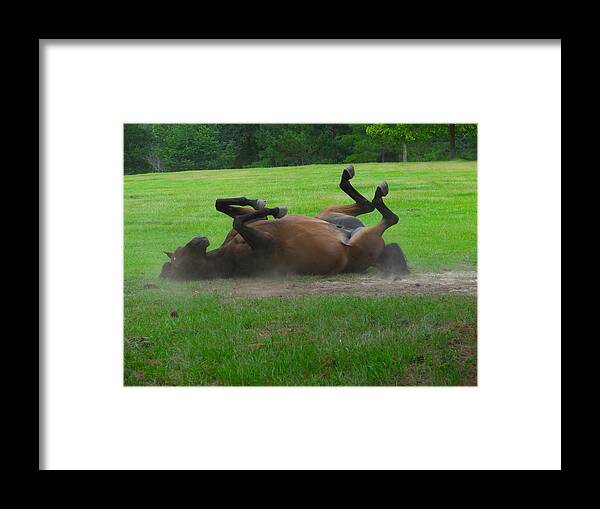 Horse Framed Print featuring the photograph Getting Dirty by Carl Moore