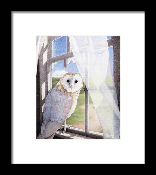 Owl Framed Print featuring the drawing Ghost In The Attic by Amy S Turner