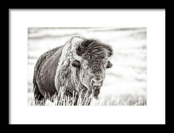 Fine Art America Framed Print featuring the photograph Ghost of the Prairie by Scott Bean