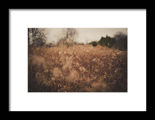 Nature Framed Print featuring the photograph Ghost by Shane Holsclaw