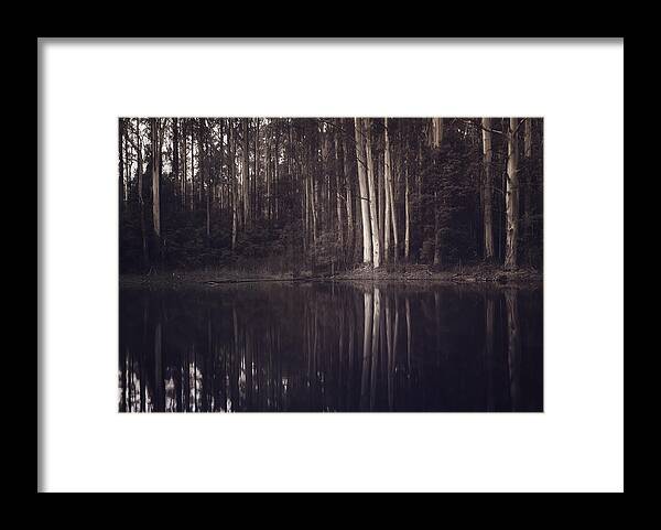 Trees Framed Print featuring the photograph Ghosts of my Heart by Amy Weiss