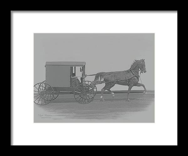 Horse Framed Print featuring the photograph Giddy-up in b/w by Dyle Warren