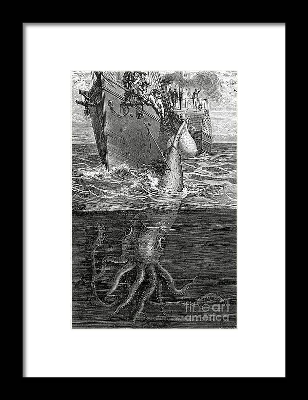 Kraken Framed Print featuring the drawing Gigantic Cuttle Fish by English School