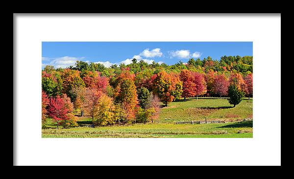 Fall Framed Print featuring the photograph New Hampshire Foliage by Colleen Phaedra