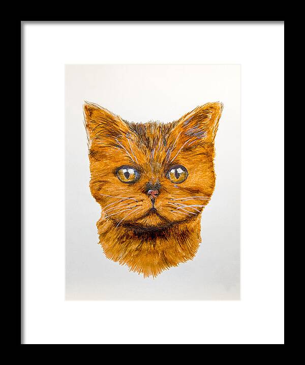 Cat Framed Print featuring the drawing Ginger by John Stuart Webbstock