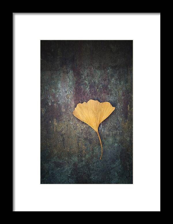 Gold Framed Print featuring the photograph Gingko Leaf by Maria Heyens