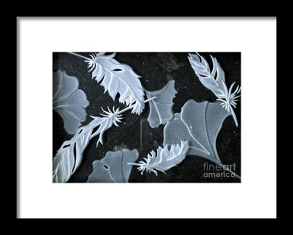 Black Framed Print featuring the photograph Ginko Leaves and Feathers by Alone Larsen