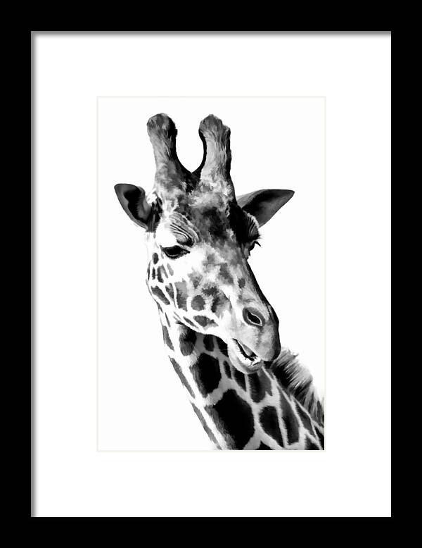 Giraffe Framed Print featuring the photograph Giraffe Black And White by Athena Mckinzie