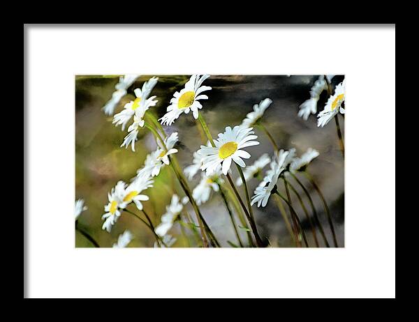 Wildflowers Framed Print featuring the photograph Glacier Wildflowers by Marty Koch