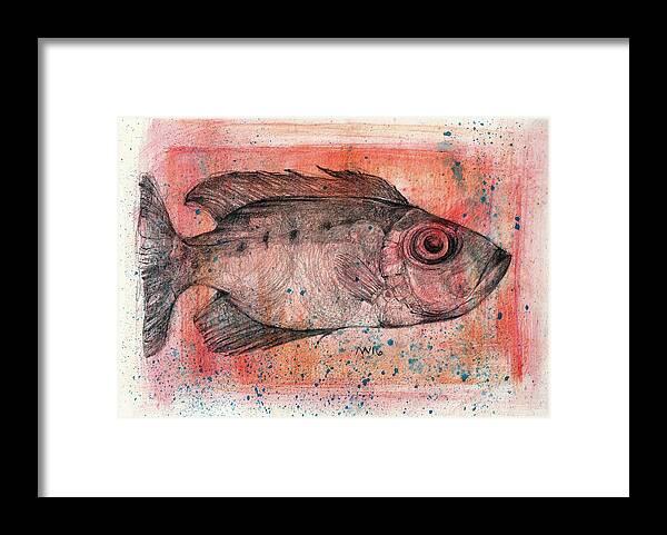 Fish Framed Print featuring the mixed media Glasseye Snapper by AnneMarie Welsh