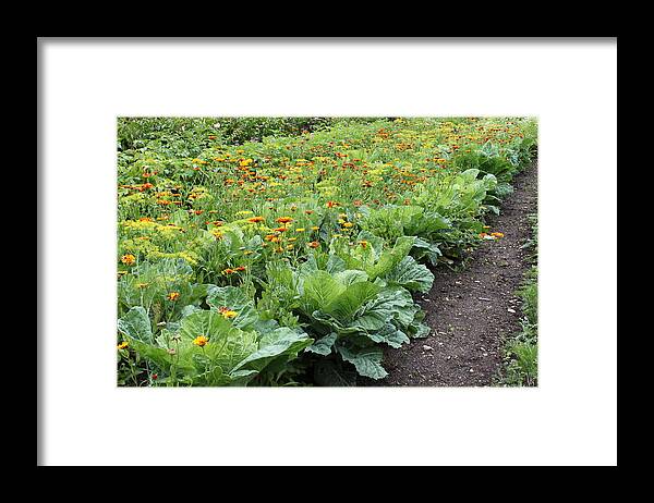 Glenveagh Castle Framed Print featuring the photograph Glenveagh Castle Gardens 4276 by John Moyer