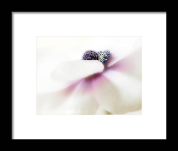 Flower Framed Print featuring the photograph Glimpse of perfection. by Usha Peddamatham