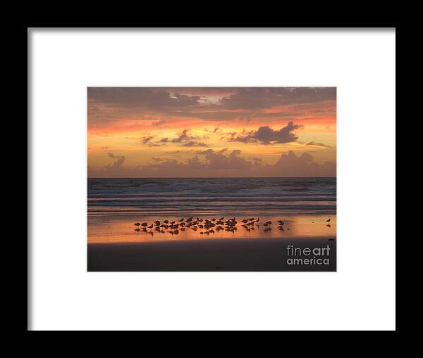 Dawn Framed Print featuring the photograph Glorious morning 5-26-15 by Julianne Felton
