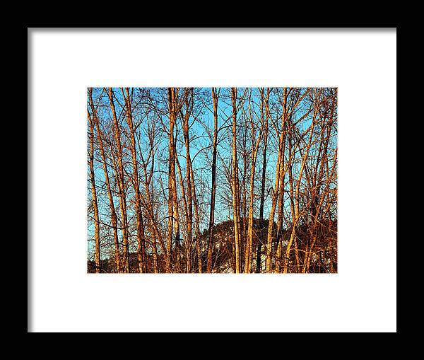 #glowofthesettingsun Framed Print featuring the photograph Glow Of The Setting Sun by Will Borden