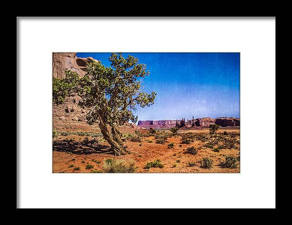 Pictorial Framed Print featuring the photograph Gnarled Utah Juniper at Monument Vally by Roger Passman