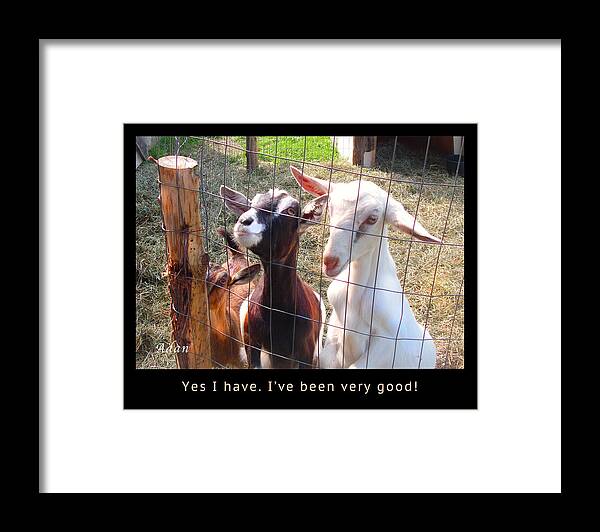 Three Goats Framed Print featuring the photograph Goats Poster by Felipe Adan Lerma
