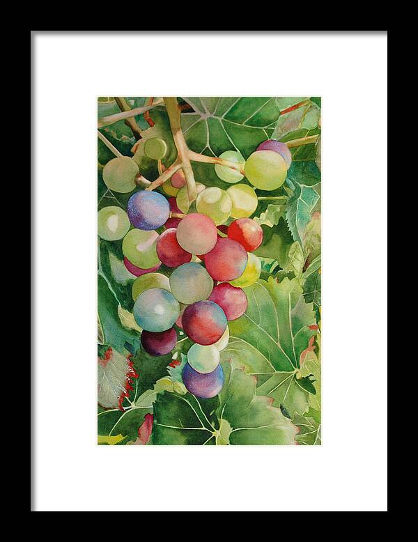 Grapes On Vine Framed Print featuring the painting Going For Grapeness by Diane Fujimoto