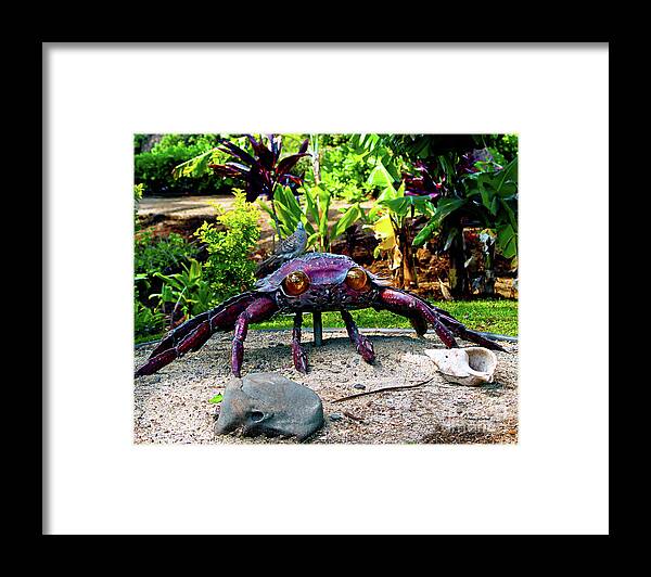 Crab Sculpture Framed Print featuring the photograph Going Piggyback on a Crab by Patricia Griffin Brett