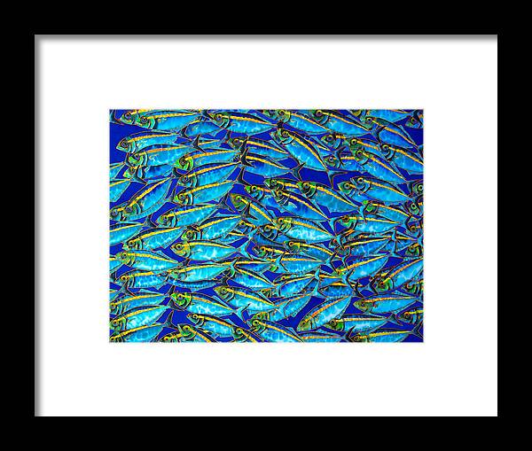 Gold Banded Scad Framed Print featuring the painting Gold Banded Scad by Daniel Jean-Baptiste