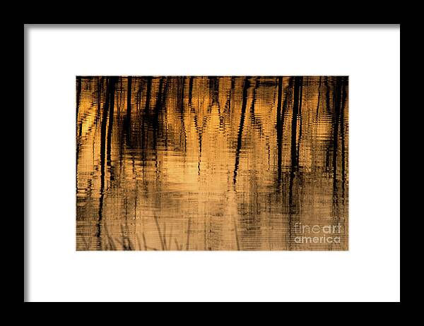 Water Framed Print featuring the photograph Golden Abstract by Shevin Childers