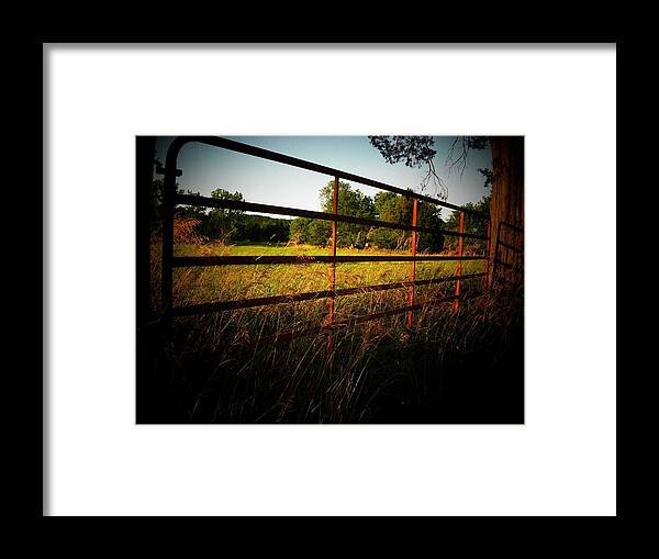 Fence Framed Print featuring the photograph Golden Country Fence by Joyce Kimble Smith