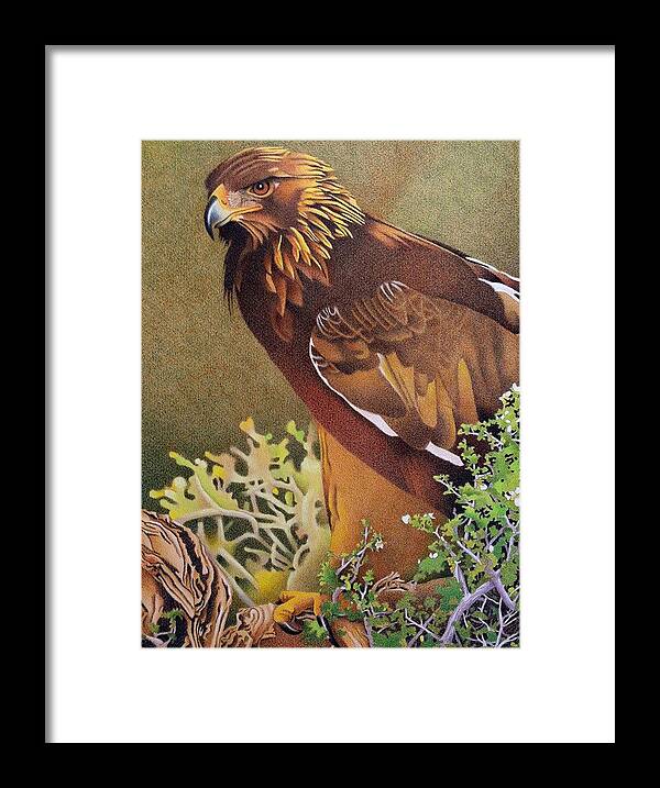 Art Framed Print featuring the drawing Golden Eagle by Dan Miller