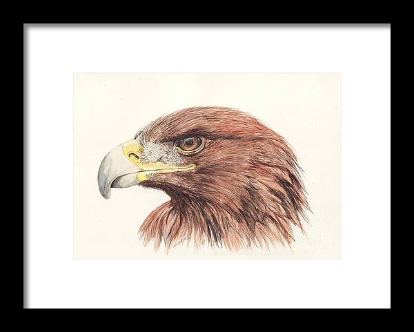 Golden Framed Print featuring the painting Golden Eagle by Morgan Fitzsimons