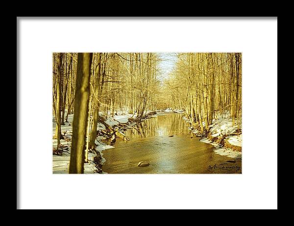 Landscape Framed Print featuring the photograph Golden Early Spring in Ontario by Maciek Froncisz