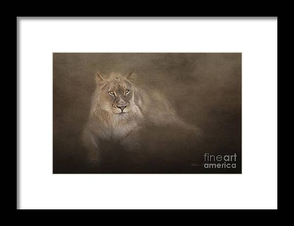 Lioness Framed Print featuring the photograph Golden Eyes by Linda Blair