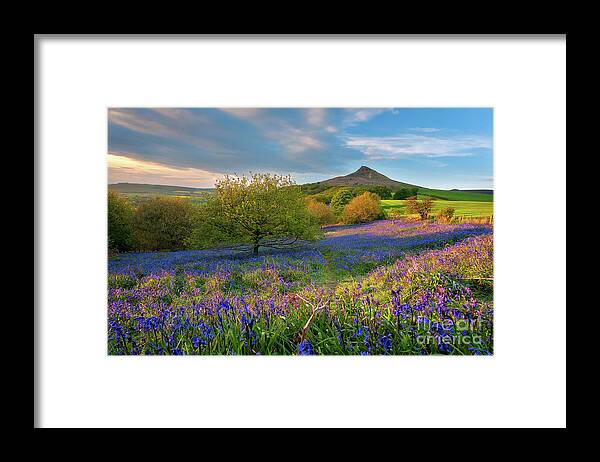 Mtphotography Framed Print featuring the photograph Golden hour at Roseberry Topping by Mariusz Talarek