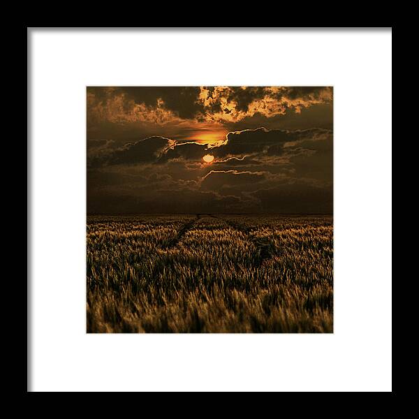 Cornfield Framed Print featuring the photograph Golden Hour by Joachim G Pinkawa
