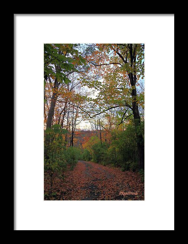 Golden Hour Of Autumn Framed Print featuring the photograph Golden Hour of Autumn by PJQandFriends Photography