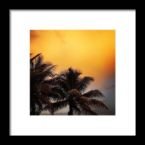 Miami Framed Print featuring the photograph Golden Light #juansilvaphotos by Juan Silva