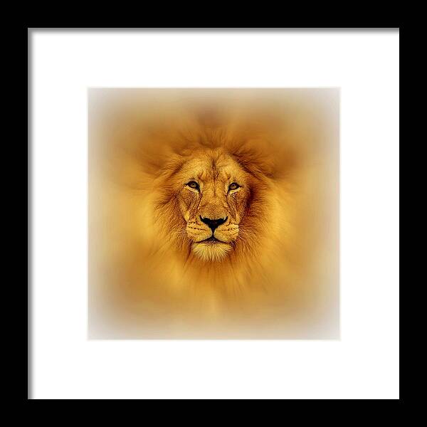 Lion Head Framed Print featuring the digital art Golden Lion by Lilia D