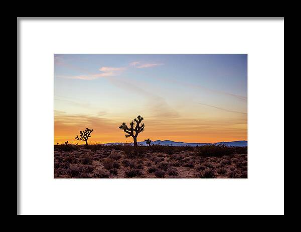 Joshua Tree Framed Print featuring the photograph Golden Mojave Desert Sunset by Aileen Savage
