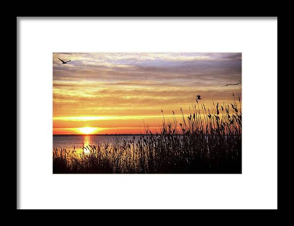Sunrise Framed Print featuring the photograph Golden Morning by Bob Cuthbert