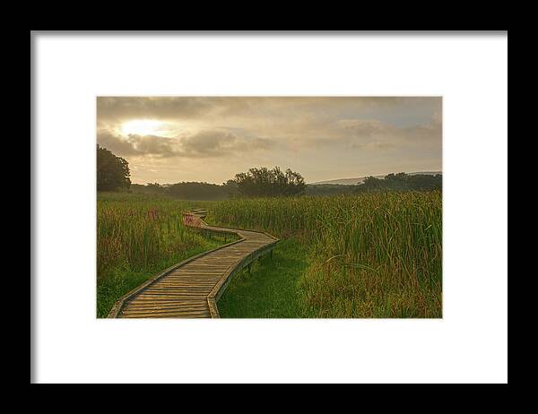 Mist Framed Print featuring the photograph Golden Pathway To A Foggy Sun by Angelo Marcialis