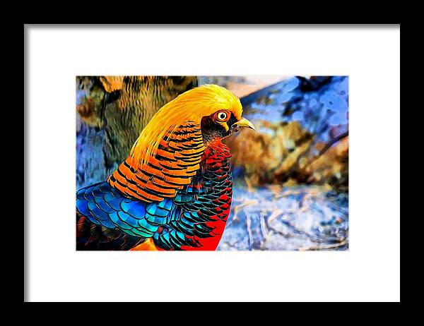 Golden Pheasant Framed Print featuring the digital art Golden Pheasant Painterly by Lilia D