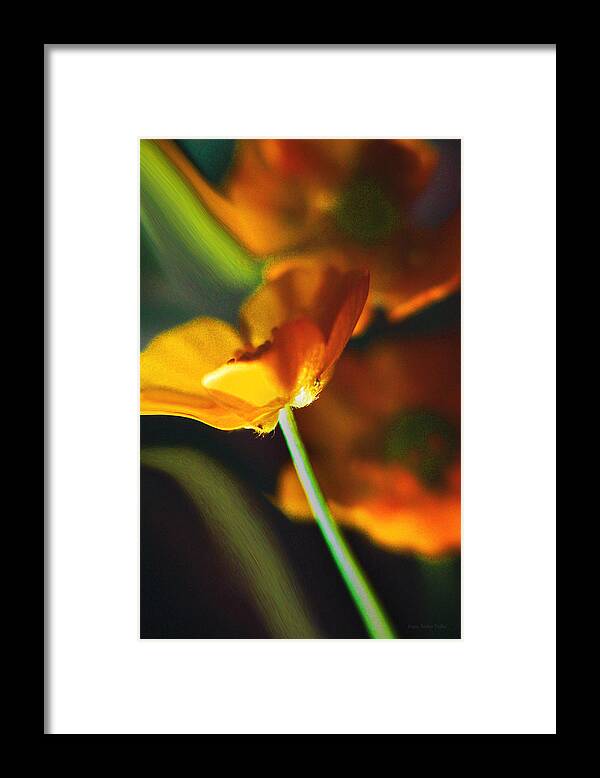 Flowers Framed Print featuring the photograph Golden Possibilities... by Arthur Miller