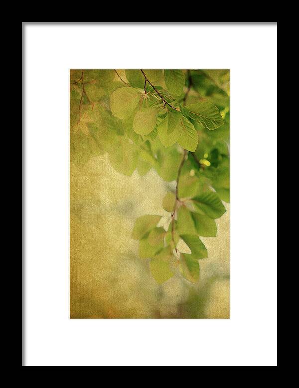 Leaves Framed Print featuring the photograph Golden by Rebecca Cozart