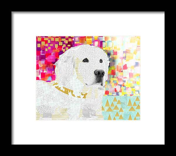 Golden Framed Print featuring the mixed media Golden Retriever Collage by Claudia Schoen