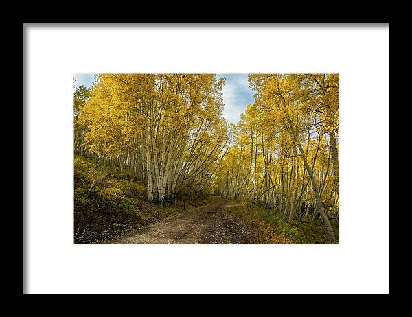 Golden Framed Print featuring the photograph Golden Road by Aaron Spong