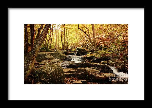 Gold Framed Print featuring the photograph Golden Serenity by Rebecca Davis