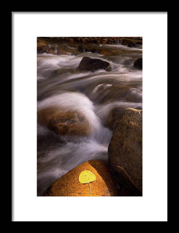 Autumn Framed Print featuring the photograph Golden Stream by Francesco Emanuele Carucci