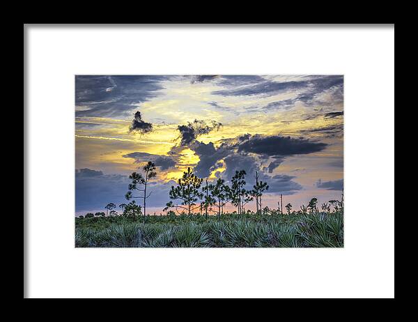 Louise Hill Framed Print featuring the photograph Golden Sunset by Louise Hill