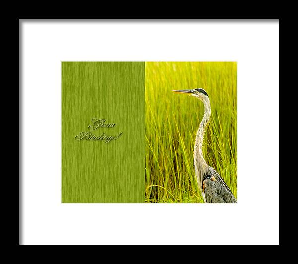 Greeting Card Framed Print featuring the photograph Gone Birding by Leticia Latocki