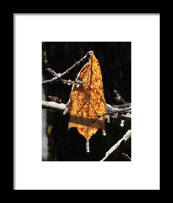 Vertical Framed Print featuring the photograph Goodbye to Autumn by Bill Tomsa