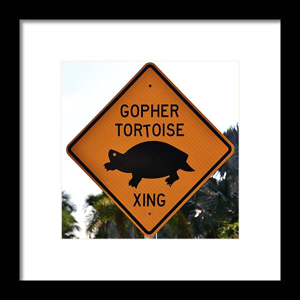 Everglades Framed Print featuring the photograph Gopher Tortoise crossing sign by David Lee Thompson