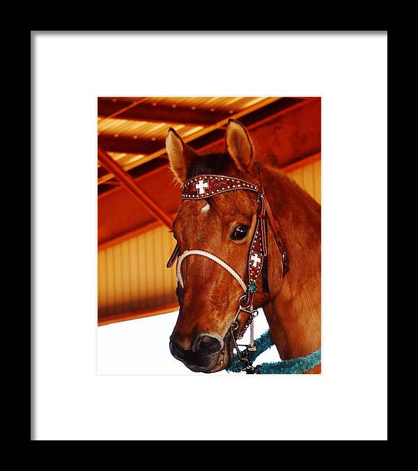 Horse Framed Print featuring the photograph Gorgeous Horse and Bridle by Eileen Brymer